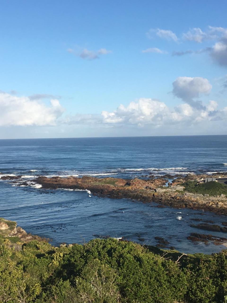 Appartamento Royal Albatros Gansbaai Esterno foto